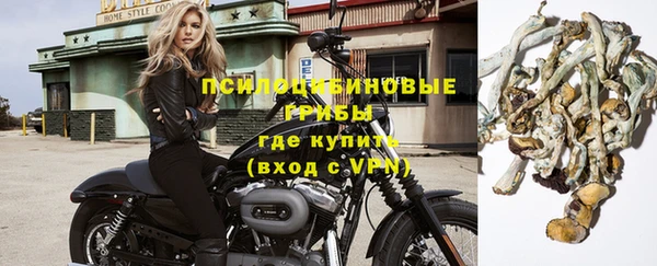 стаф Козельск